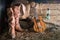 Still life with ukulele on cowboy hat and traditional leather bo