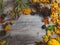 Still Life of a Variety of autumn Fall Nature Items in wooden table with copy space