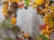 Still Life of a Variety of autumn Fall Nature Items in wooden table with copy space