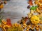 Still Life of a Variety of autumn Fall Nature Items in wooden table with copy space