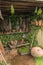 Still life with various vegetables outdoor in the sun