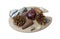 Still life on a white background of pomegranate fruit, cones and shells on a plywood palette