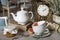 Still life. White beautiful teapot, cups and saucer, apricot jam, grapefruit and rosemary.