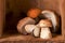 Still life with white forest boletus mushrooms