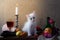 still life with white kitten pumpkin grapes dog rose green bottl