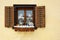 Still-Life in Window, Scuol, Unterengadin, Graubunden, Switzerland