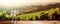 Still life with wine glass on wooden table over background of panoramic view of lush vineyards at sunset