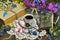 Still life with witch diary, tea cup, primrose, sweets and magic objects