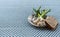 Still life with young garlic on vintage plate  with one peace of white bread, closeup