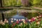 a still pond surrounded by delicate tulips in full bloom