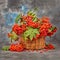 Still rowan berries in the basket. Autumn concept