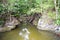 Still Stagnant Polluted Water among Large Rocks with Fallen Trees in Forest