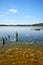 Still water of Lake Lipie in the summer, Strzelce Krajenskie, Poland