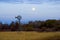 Still windmill standing in a brown grassy field backlit by the moon