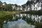 Stilled Pond reflection on a dutch heath