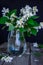 Stilllife card with jasmine flowers in glass jar, separate branches with flowers and petals on the wooden rustic table. Soft selec