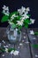 Stilllife card with jasmine flowers in glass jar, separate branches with flowers and petals on the wooden rustic table. Soft selec