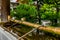 Stillness at the water basin at the entrance of a shrine in Japan for the riual Temizuya purification - 14