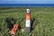 Stilo Lighthouse on the Baltic Sea coast in Poland