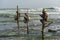 Stilt fishermen in Sri Lanka