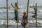 Stilt fishermen in Sri Lanka