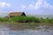 Stilt house on lake