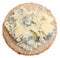 Stilton Cheese on Biscuit