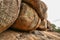 Stinging rocks of the Matopos National Park, Zimbabwe