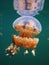 Stingless Jellyfish, Togean Islands