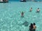 Stingray experience tour in Grand Cayman