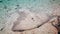 A stingray hiding among sand and tiny pebbles.