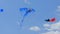 Stingray Shaped Kite and Two Twin Kites