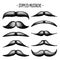 Stippled vintage mustache. Curly facial hair. Hipster beard. Stippling, dot drawing and shading, stipple pattern