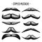 Stippled vintage mustache. Curly facial hair. Hipster beard. Stippling, dot drawing and shading, stipple pattern