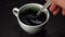 Stir chlorophyll extract in water in a white cup on a black cardboard surface.