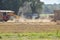 Stirring up dust in a north Mississippi sweet potato field. In the background are crates to place the potatoes in after picking th