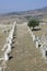 Stoa at the Sanctuary of Athena