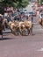 Stoackyard Entrance Cattle Drive