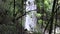 Stock Footage Behind a waterfall in the jungle in the rainforest with lianas.