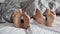 Stock footage of a happy family\'s feet under the blanket. Perfect for representing family time, closeness, and intimacy.