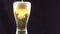 Stock Footage Pouring Beer Into a Glass