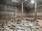 stock of green coffee beans in large canvas bags stored in a warehouse in the Sidama region of Ethiopia waiting to be sold