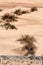 Stock image of the California\'s Colorado Desert, USA