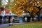 Stock image of fall foliage at Boston Public Garden