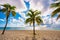 Stock image tropical summer palms on Fort Lauderdale Beach FL or could be Miami