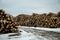 The stock of logs in winter forest. Industrial deforestation.