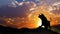 Stock Market Bull Silhouette at Sunrise 4K Loop