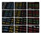 Stock market display boards