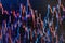 Stock market graph. Bar graphs, diagrams, financial figures. Trading on market concept. Closeup photo. Stock trade live forex