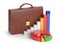 Stock market portfolio concept. Briefcase and graph isolated